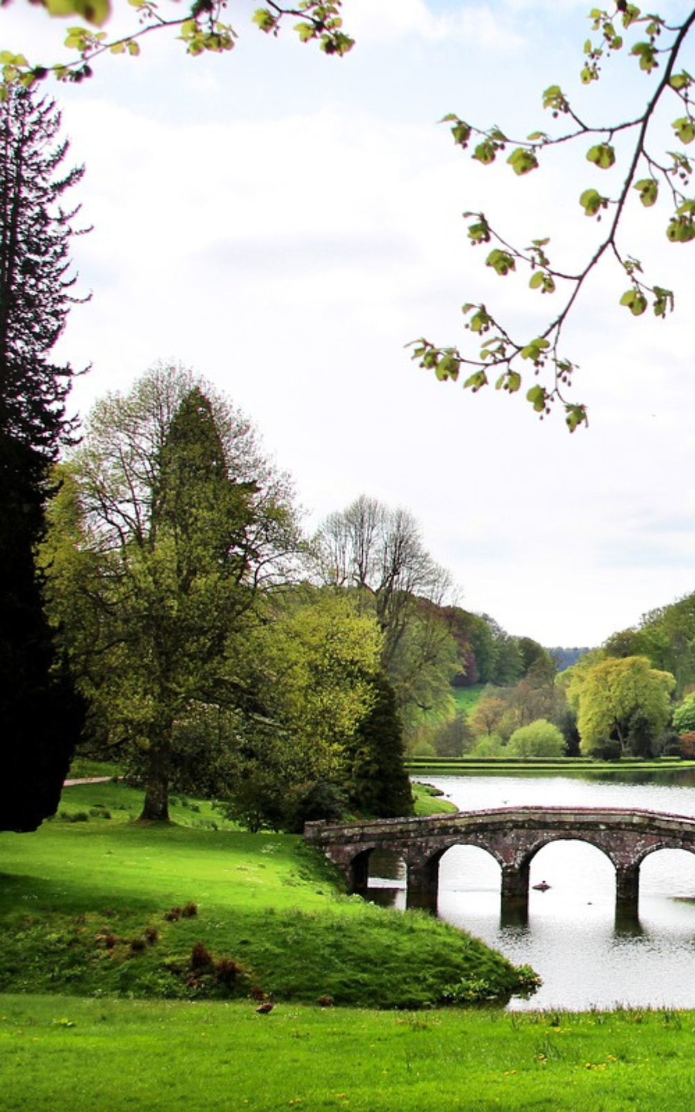 Pride and Prejudice Back Cover