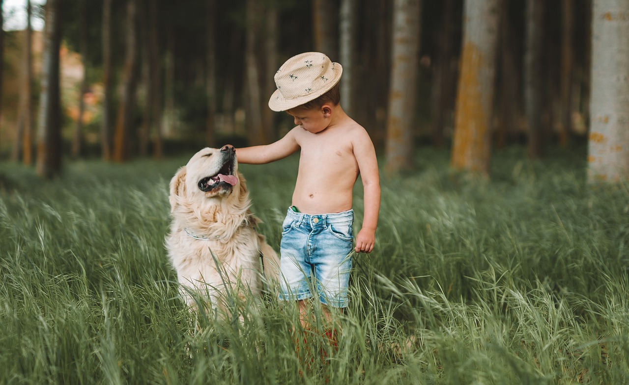 young boy with hat on and no shirt and a golden retriever in grass