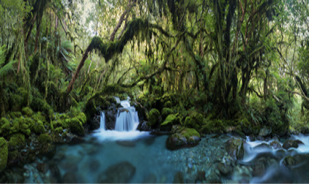 A river containing waterfalls and moss-covered rocks surrounded by greenery. 